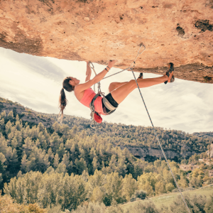 Beef Kidney Supplement for energy benefits